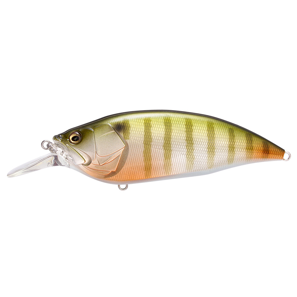 Megabass Big M 4.0 Crankbaits PM BG
