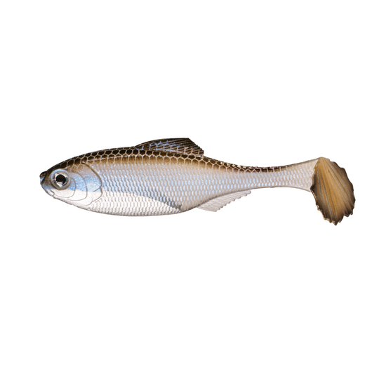 6th Sense Panorama Swimbait - Unrigged Blue Shiner