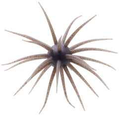 Hideup Coike Fullcast Creature Bait Shinikakegill