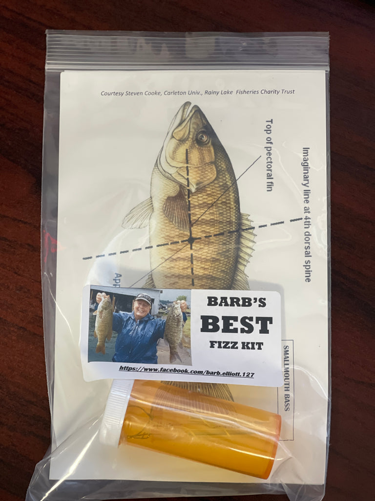 Barb's Best Fizz Kit