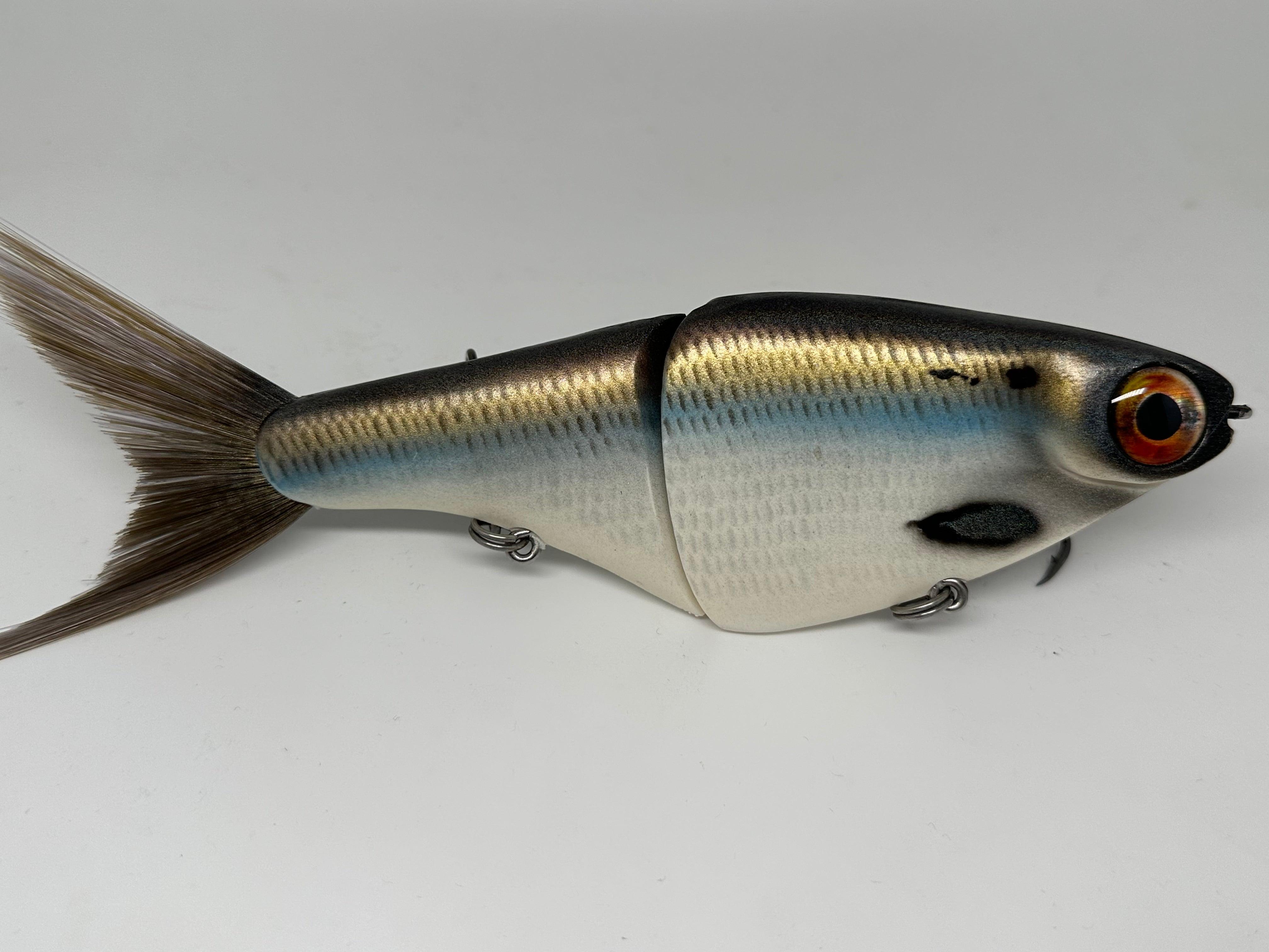 Swimbait Review- 316 Gizzard Glide 