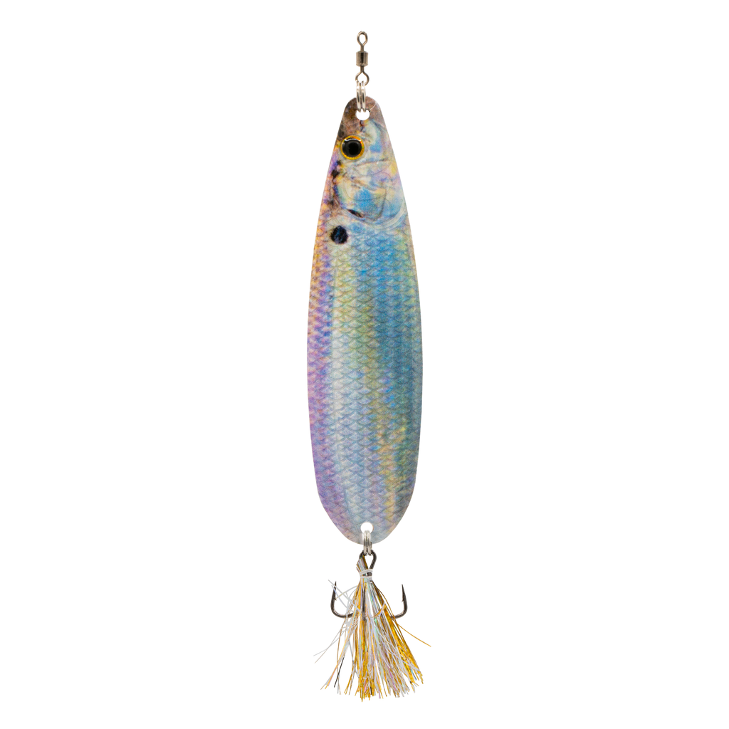 6th Sense Flutter Spoon Live Gizzard Shad