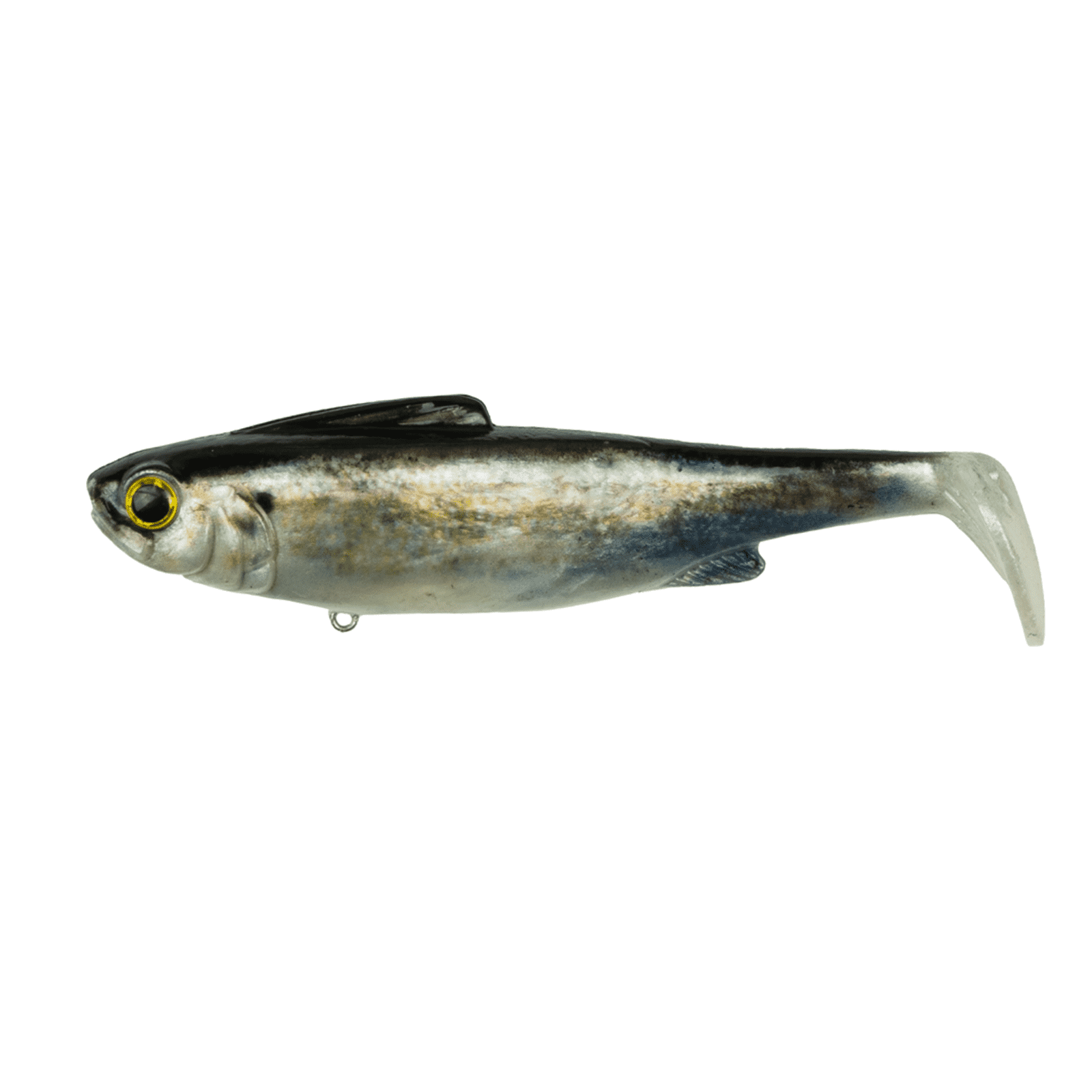 6th Sense Hangover Live Shad