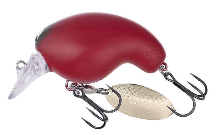 Daiwa Mr. Fortune Habanero