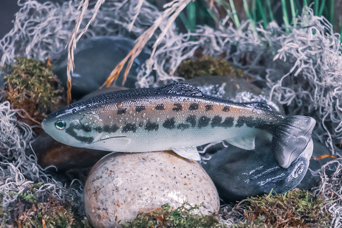 Defiant 210 Swimbait Black Bass