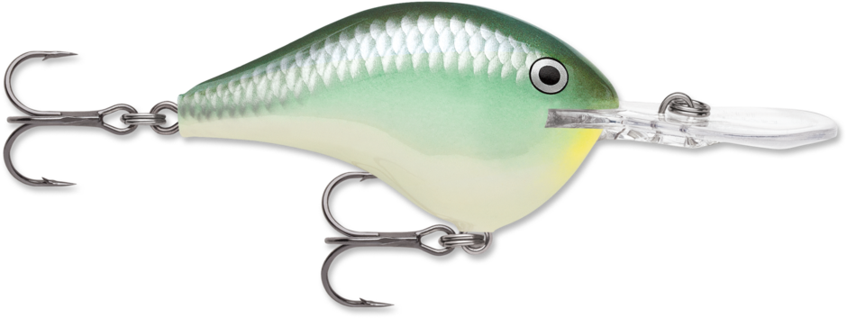 Rapala DT 16 Archives - Farwater