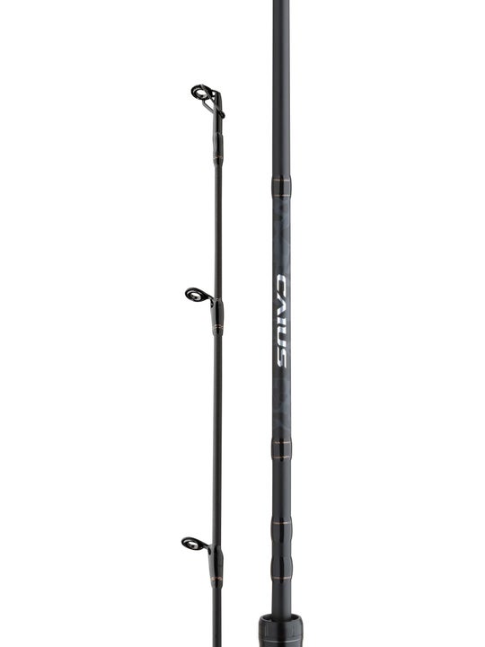 Shimano Caius Casting Rod Combo