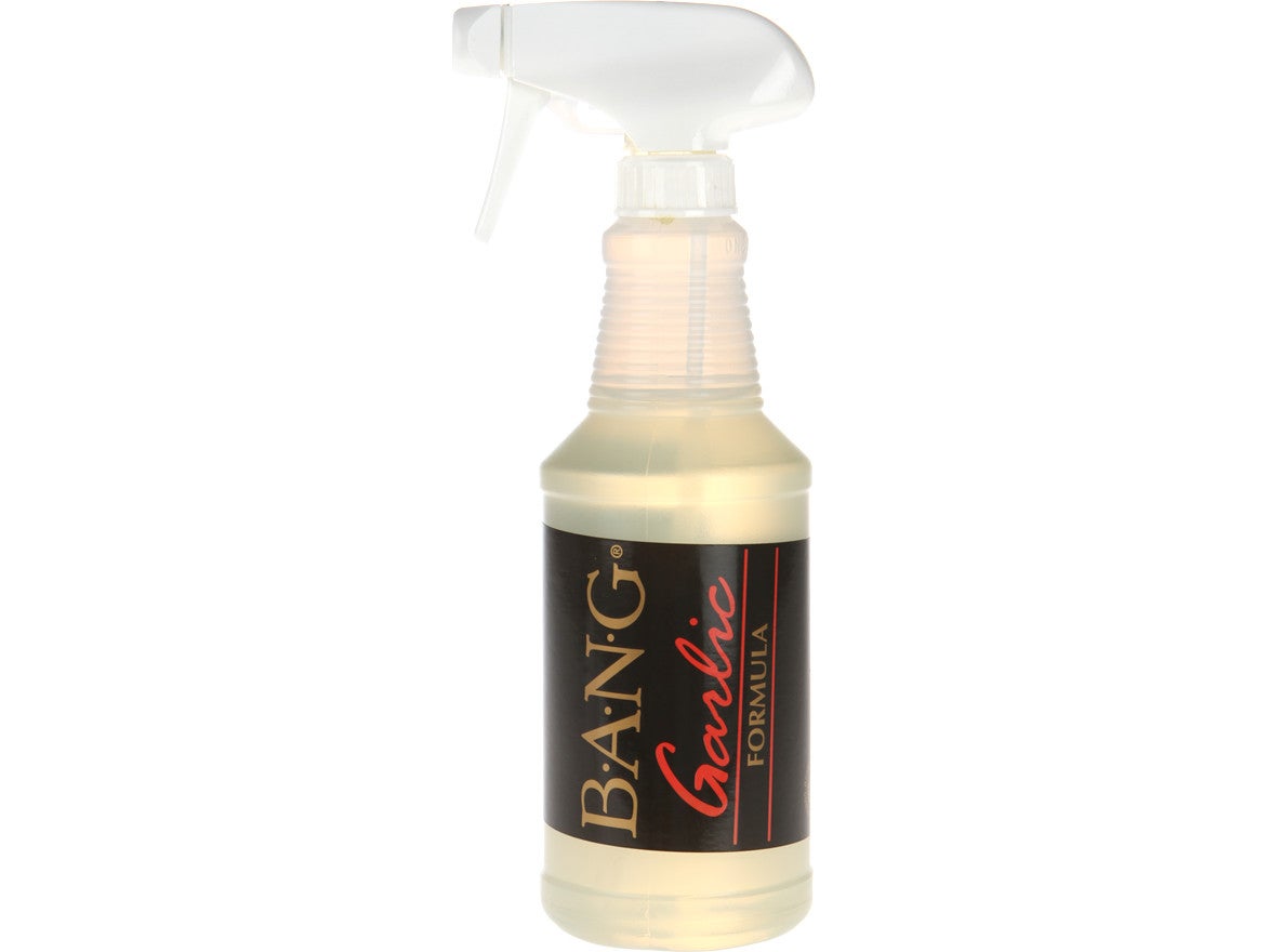 BANG Fish Attractant 16oz Pump Garlic