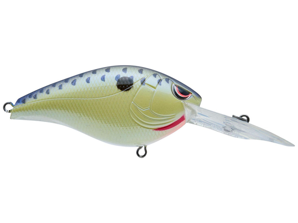 SPRO Hunter 65 MD Crankbait Cell Mate