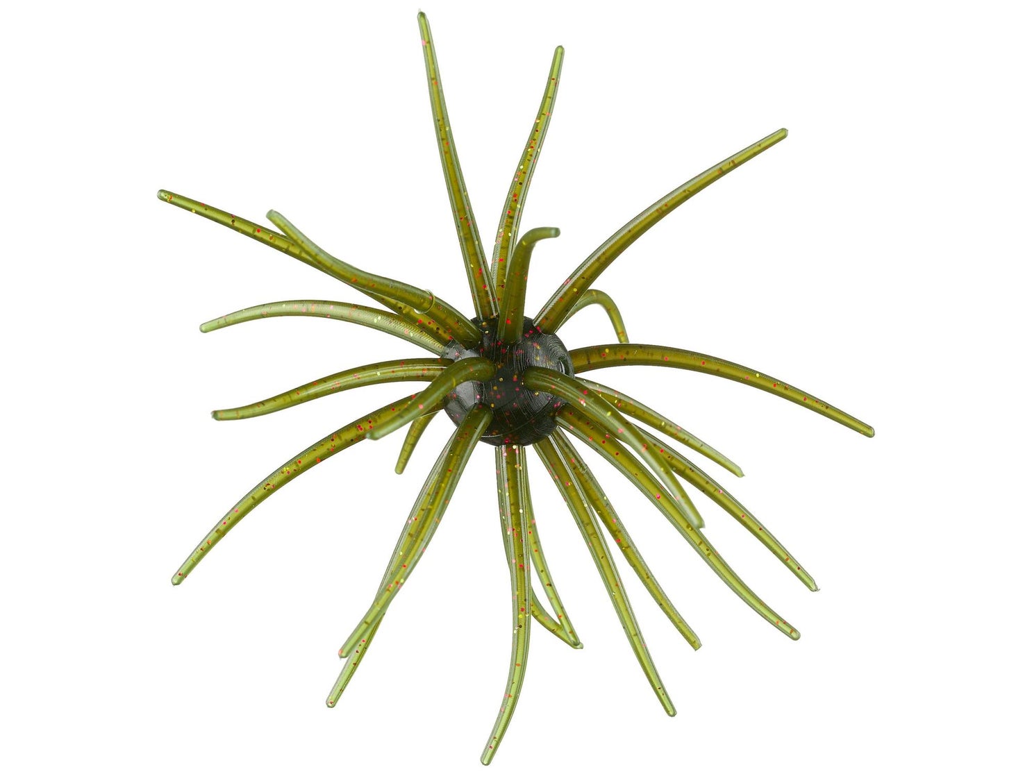 Hag’s Prickly Pear Lonestar Disco