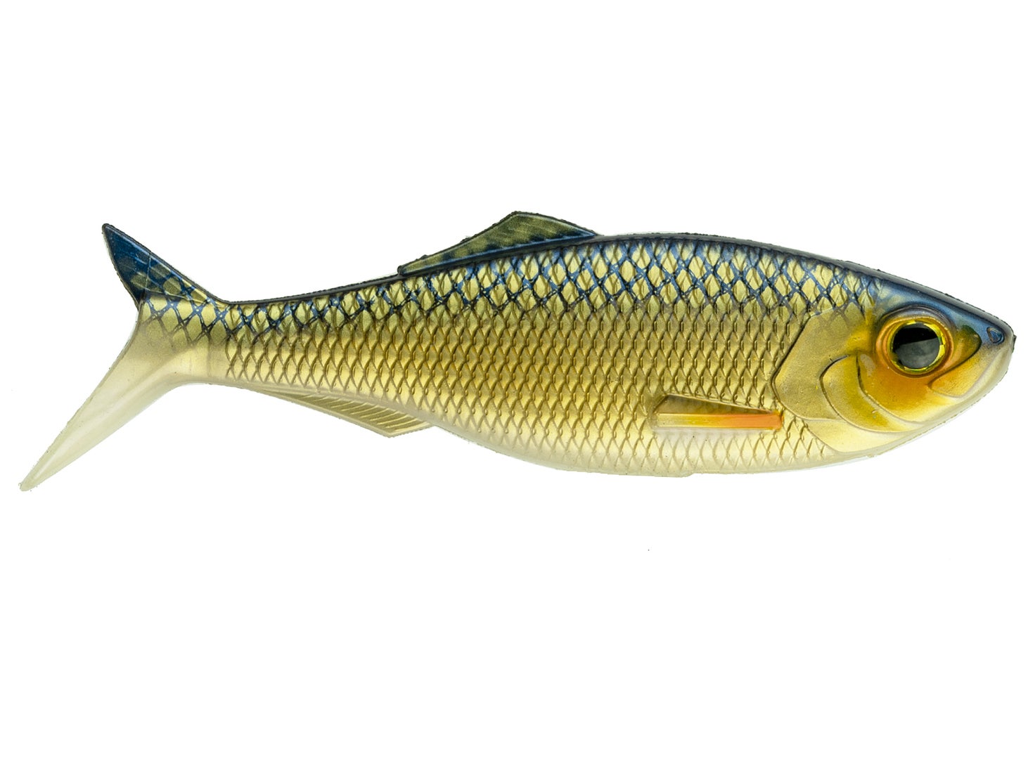 6TH Sense Sweep Live Shiner