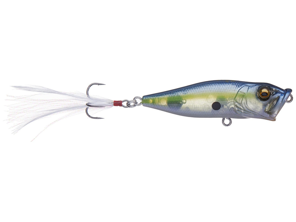 Megabass Pop-X GP Sexy Shad