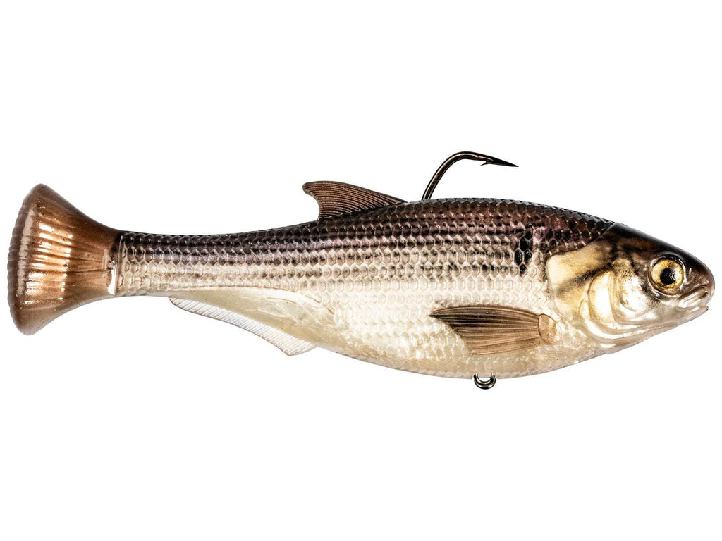 Z-Man Shadtron LT Swimbait Gizzard Shad