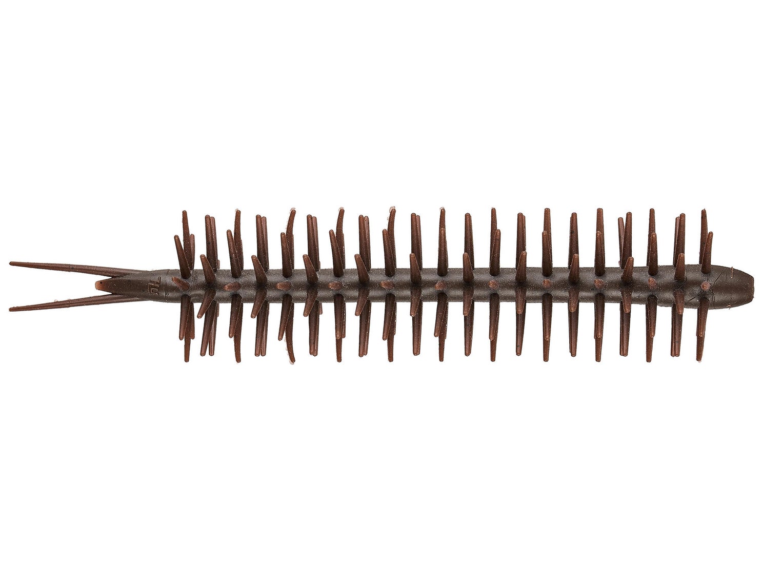 Hideup Coike Straight Elastomer Creature Bait