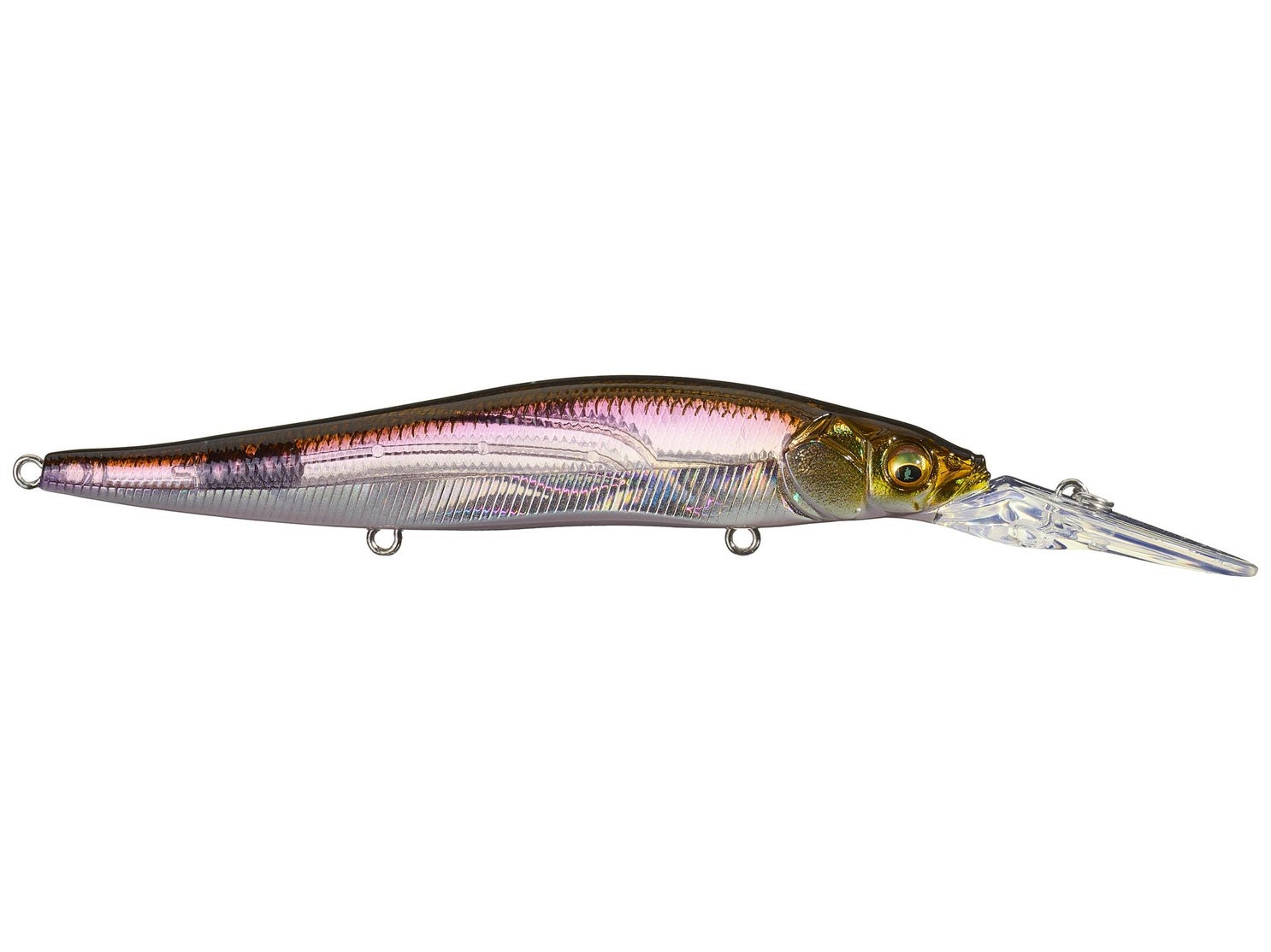 Megabass Vision 110 + 2 HT Hakone Wakasagi