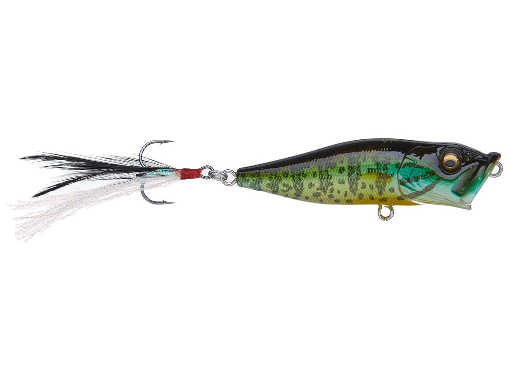 Megabass Pop-X Pumpkin Seed