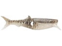 Rapala Crush City Avatar Shad Gizzard Shad