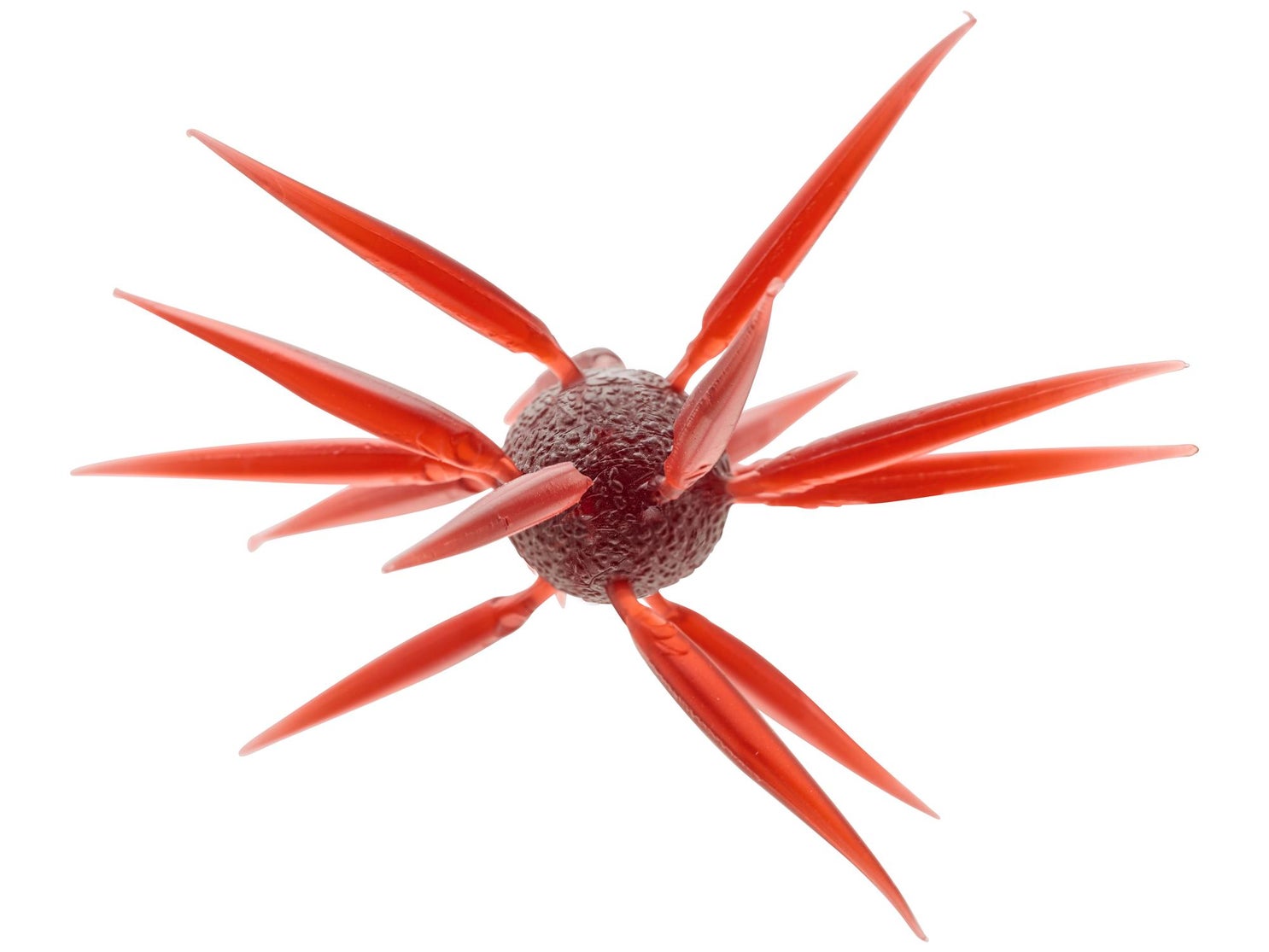 Hideup Coike Fish Elastomer Creature Bait