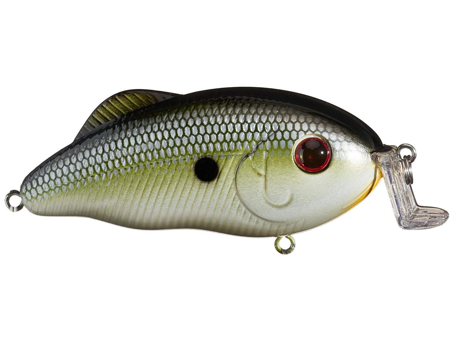 Strike King Hybrid Hunter Jr. Muh Knee Shad