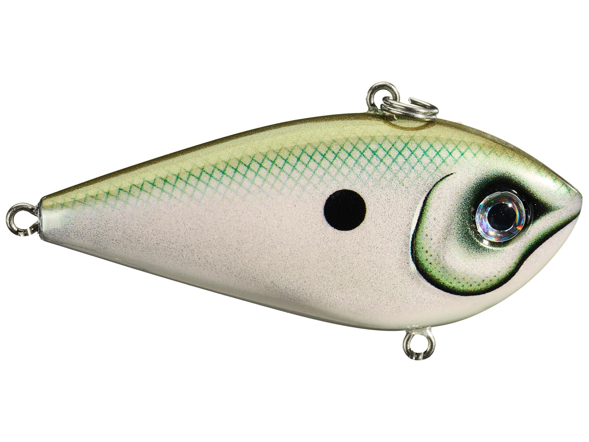 Rapala Snare 50 Lipless Crankbait Green Gizzard Shad