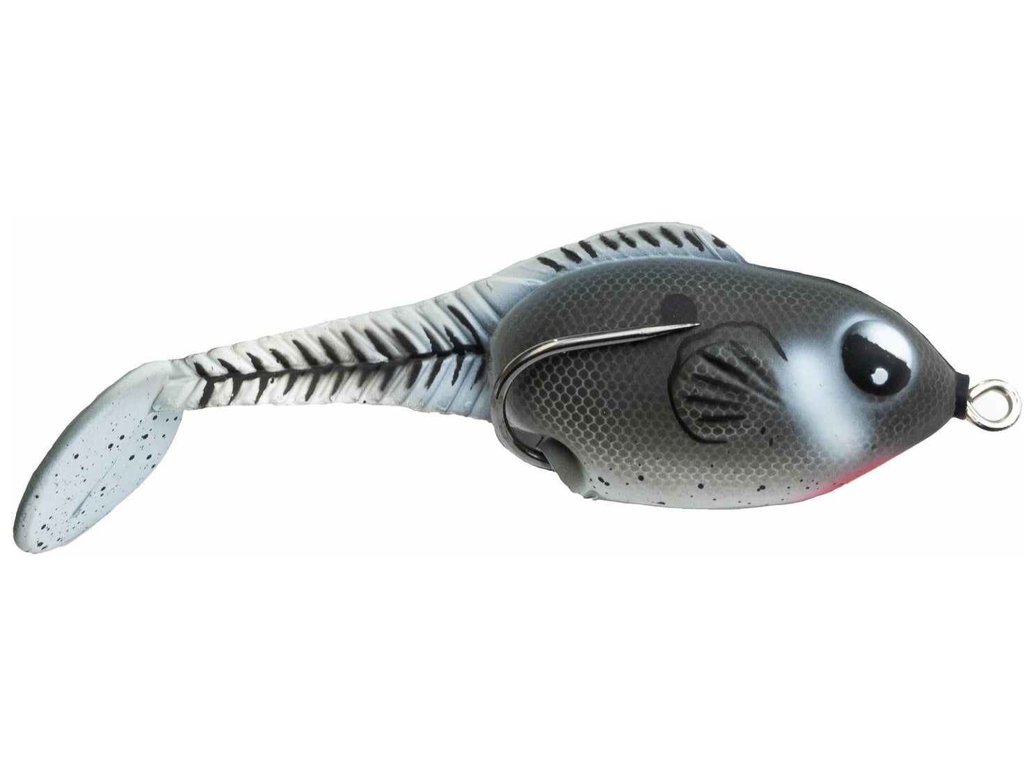 Snag Proof Zoo Wake Gizzard Shad