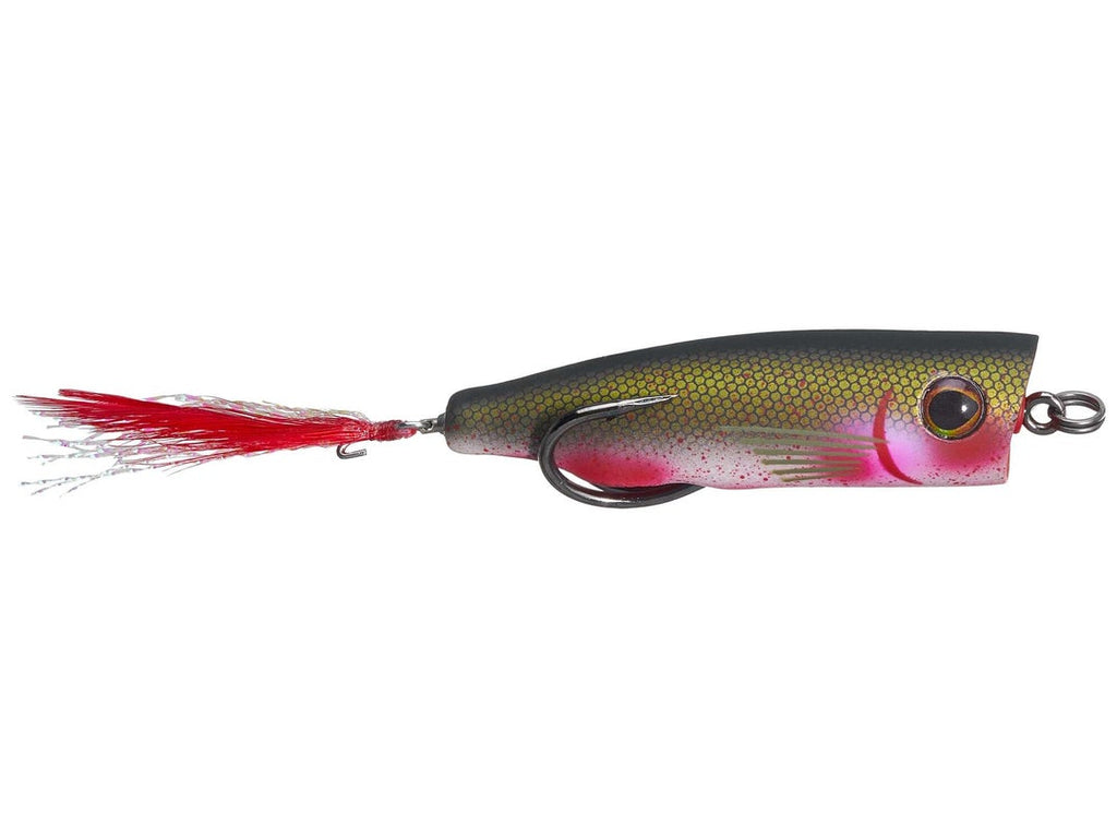 Snag Proof Zoo Pop 3/8oz Popper Bloody Shad