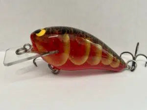 Black Label balsa crankbait - first day using one . Wow- wilgreen lake ky 