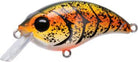Bill Lewis ATV 1.0 Squarebill Crankbaits Rootbeer Craw (D)