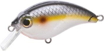 Bill Lewis ATV 1.0 Squarebill Crankbaits Sneaky Shad
