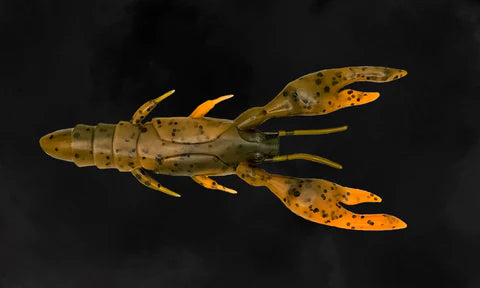 Toad Thumper Bad Craw Bad Craw