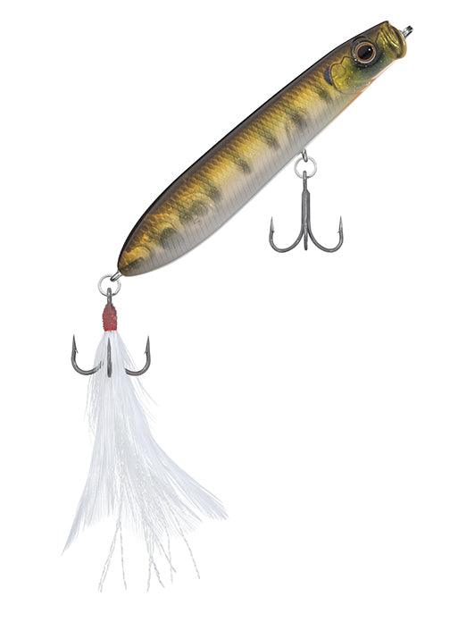 Evergreen SB Topwater