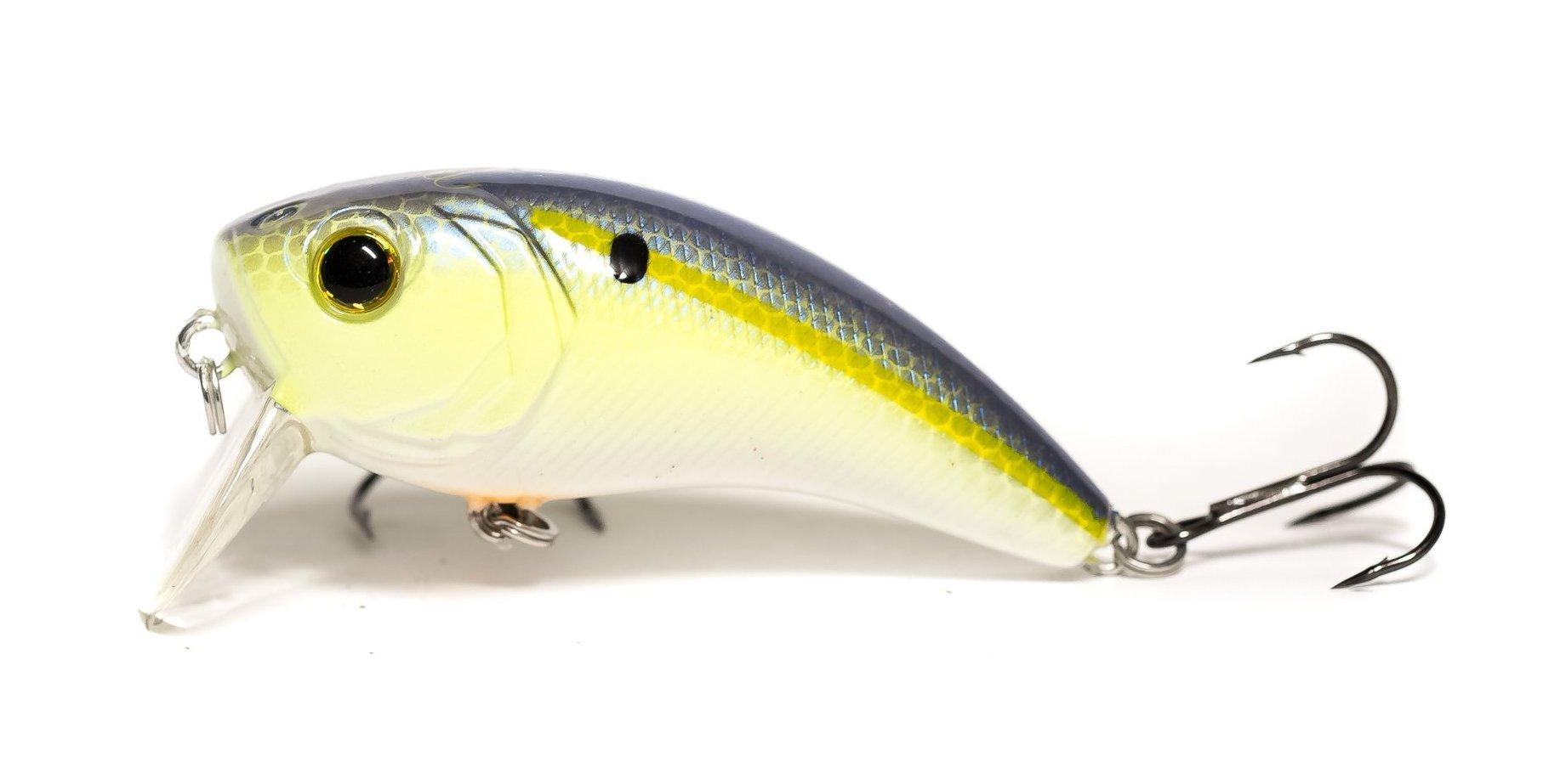 6th Sense Movement 80 Wake