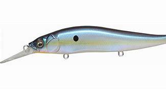 Megabass Vision 110 + 1