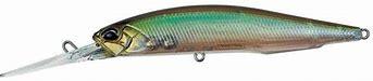 Duo Realis Jerkbait 100DR Ghost Minnow