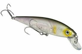 Strike King KVD Jerkbait 200 Clearwater Minnow