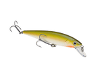 Strike King KVD Jerkbait 200 The Shizzle