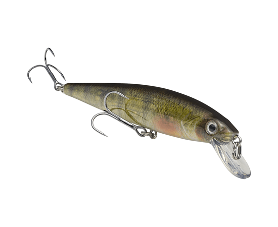 Strike King KVD Jerkbait 200 Yellow Perch