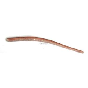 Roboworm Straight Tail 6"